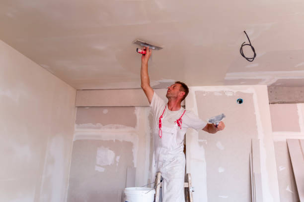 Best Eco-Friendly and Low-VOC Painting  in Camp Barrett, VA